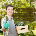 Cucumber benefits for men