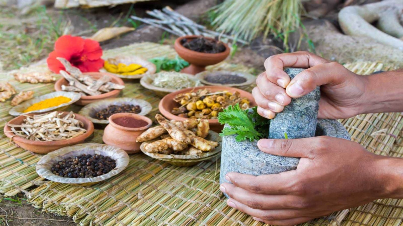 World Ayurveda Day 2025: 6 Ayurvedic spices that can heal you naturally