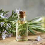 Rosemary oil for hair growth: Top 6 picks to reduce hair fall and for shiny hair