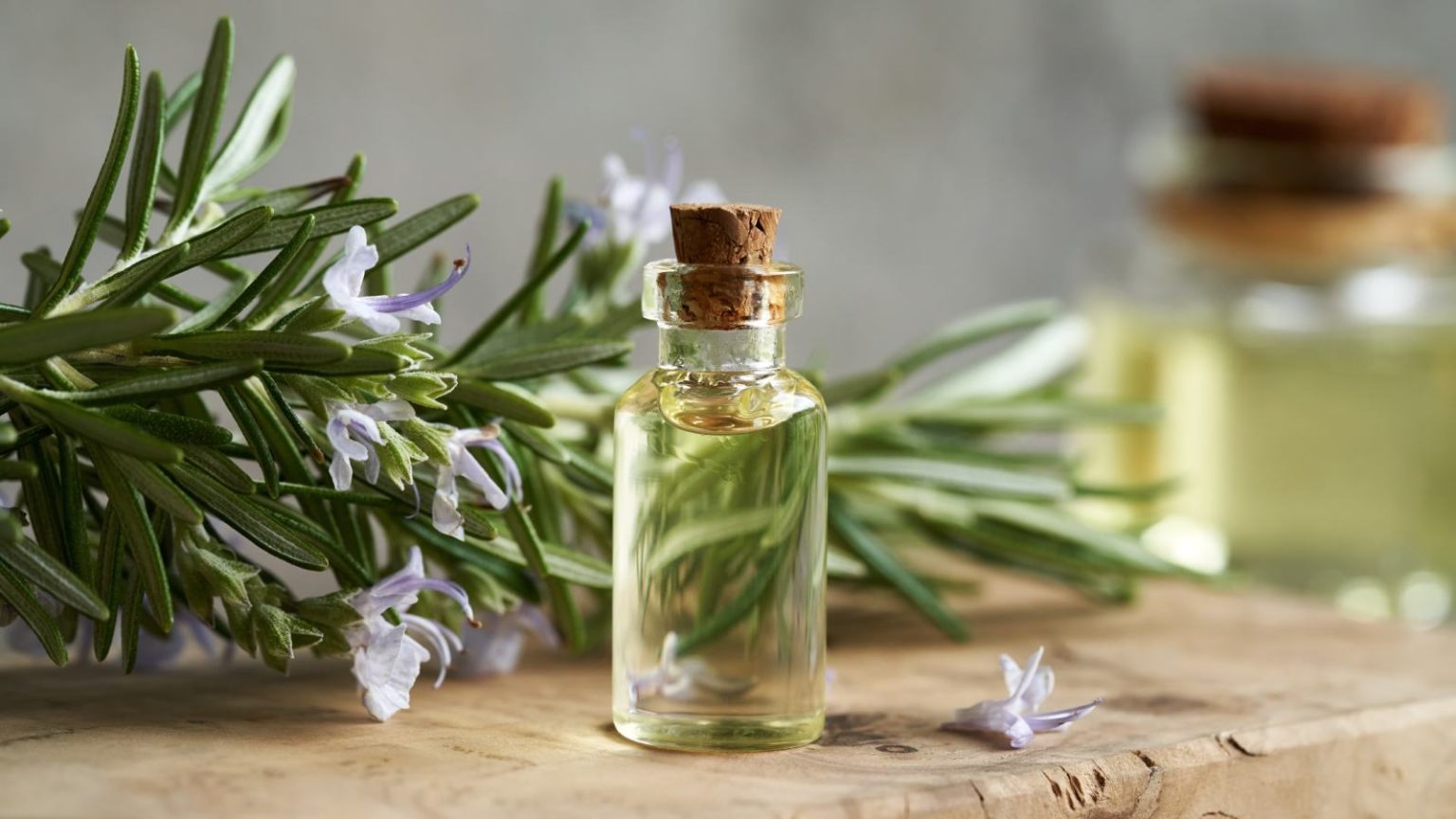 Rosemary oil for hair growth: Top 6 picks to reduce hair fall and for shiny hair