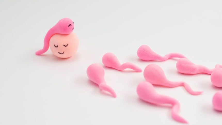 7 sex myths busted by a fertility specialist; says ‘outdated beliefs can delay pregnancy’