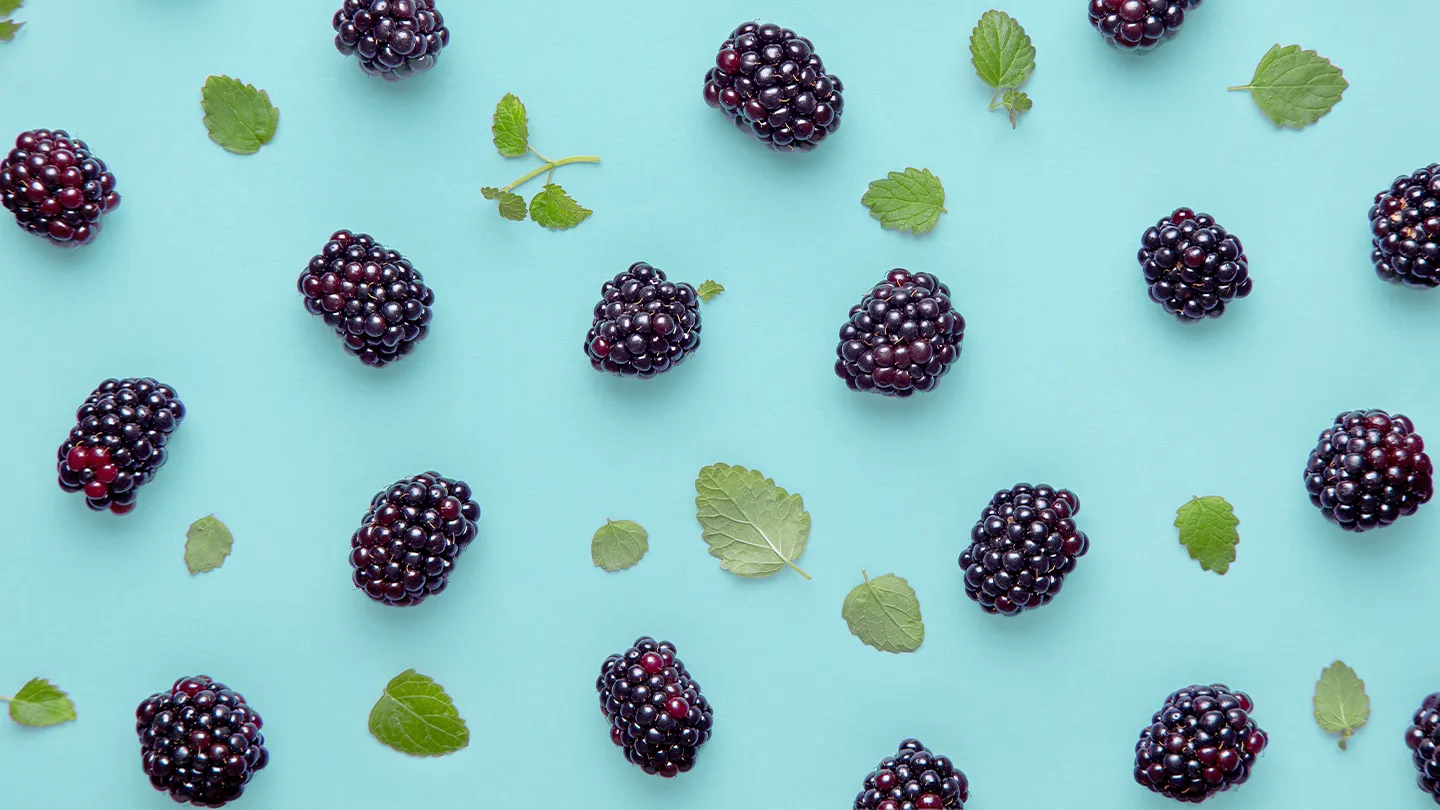 Can You Eat Too Many Blackberries?