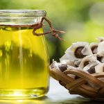Can moringa oil boost hair growth? Know its 5 benefits for your hair and scalp health