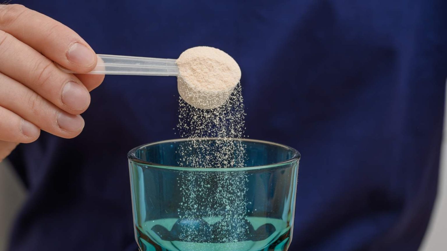 8 best creatine powders for high-performance workouts and muscle gain you should try