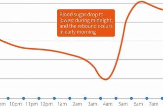 What is the Somogyi Effect (the Blood Sugar Rebound Effect)?