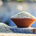 Is Bajra Good for Diabetes? Decoding the Facts