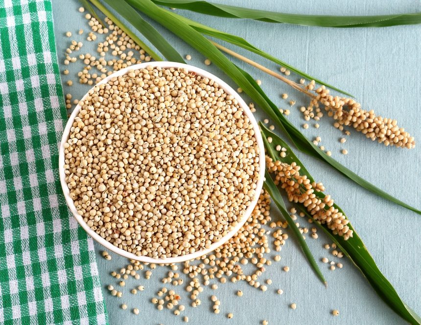Is Jowar Good for Diabetes? Let’s Find Out